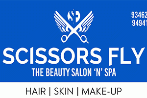 Scissors Fly - Ramaraopeta, Kakinada