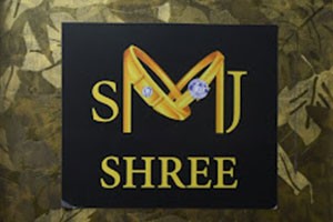Shree Mahaveer Jewellery - George Town, Chennai