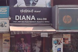 Diana Beauty Parlour Wella Esteem Salon - Mathikere, Bangalore