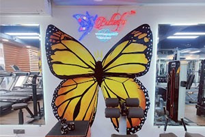 Butterfly Gym & Fitness Academy - Patel Nagar, New Delhi