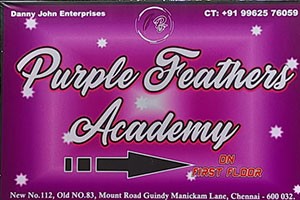 Purple Feathers Academy For Hair & Skin - Guindy, Chennai