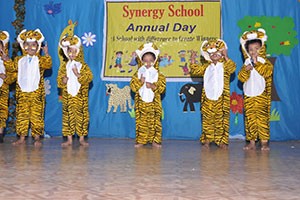 Synergy Preschool & Daycare - Shukrawar Peth, Pune