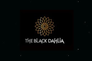 The Black Dahlia Unisex Salon - Andheri West, Mumbai