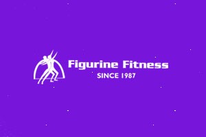 Figurine Fitness - Indira Nagar, Bangalore
