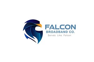 Falcon Broadband - Sangamvadi, Pune