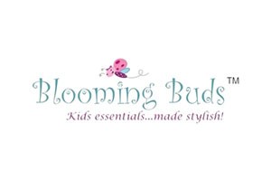 Blooming Buds - Viman Nagar, Pune