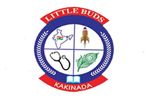 Little Buds School - Indrapalem, Kakinada