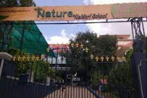 Nature Waldorf School - Jubilee Hills, Hyderabad