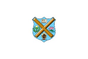 The Scottish Church Collegiate School - Maniktala, Kolkata