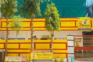 The 3 BEEZ Play School - Dayal Bagh, Agra
