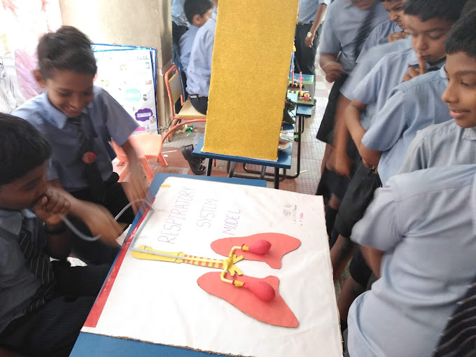 Bhashyam Public School - Sasikanth Nagar, Kakinada