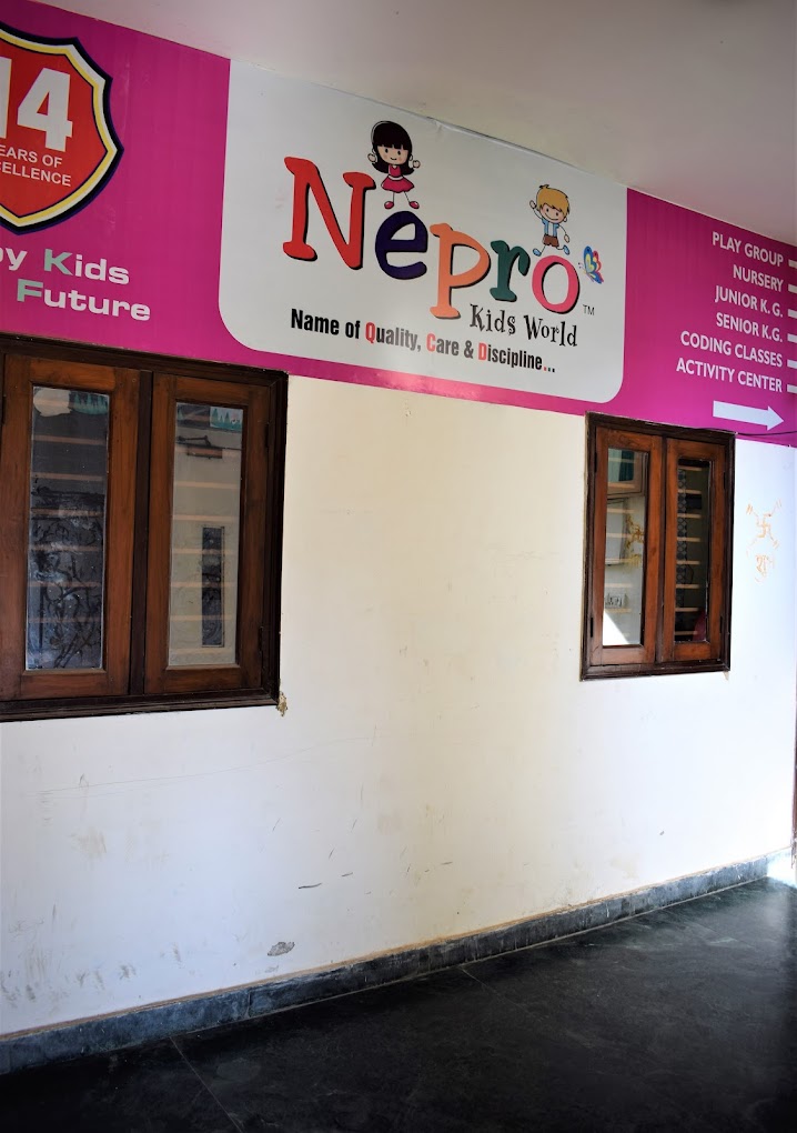 Nepro Kids School - Sikandra, Agra