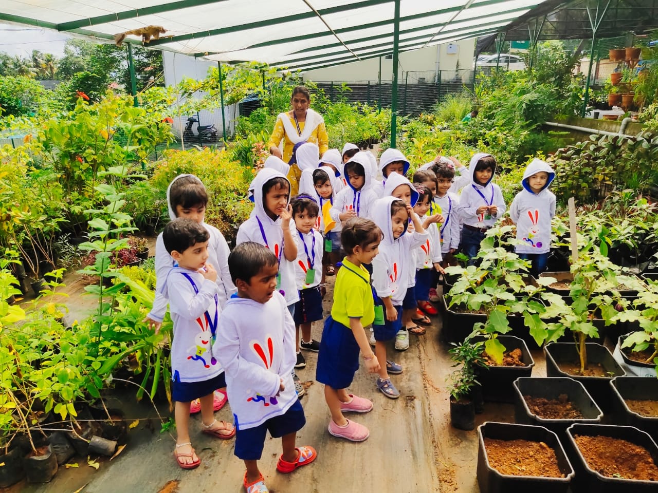 EuroKids Preschool - Kakkanad, Ernakulam