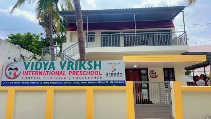 Vidya Vriksh International Preschool - Lakshmipuram, Hindupuram