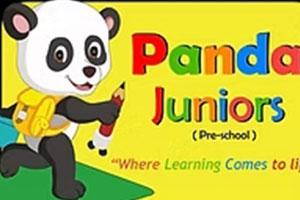 Panda Juniors Preschool - Nikol, Ahmedabad