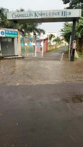 Camellia Public School - Madhyamgram, Kolkata